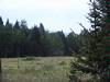 Lot #98 Pleasant Meadow Drive, Hidden Lake Subdivision